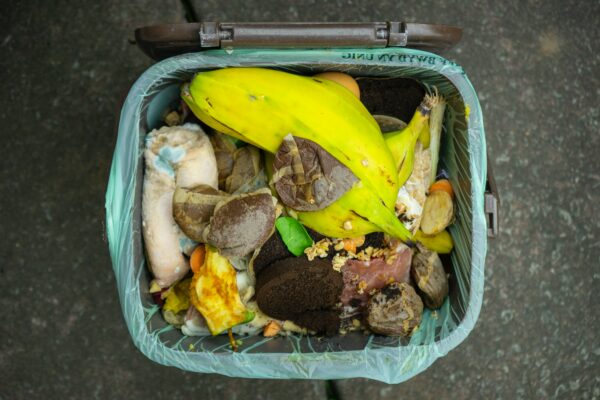 Foodwaste a jeho dopady na život i planetu